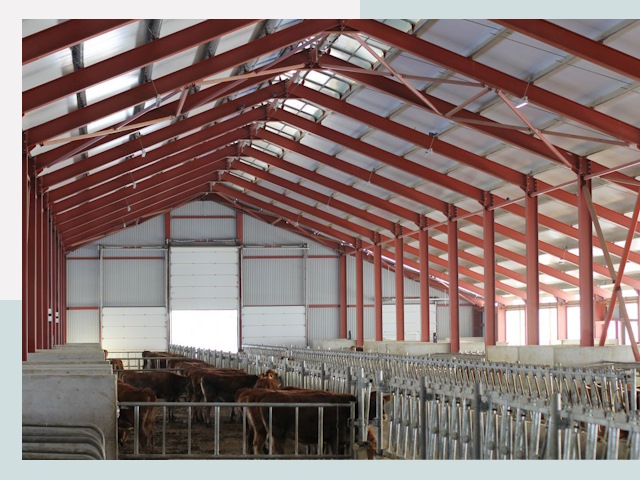 Строительство коровников в Моршанске