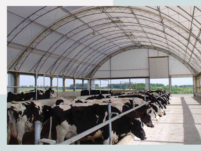 Тентовые коровники в Моршанске